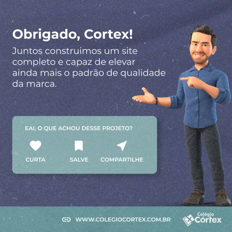 Cortex-feed-3-novo