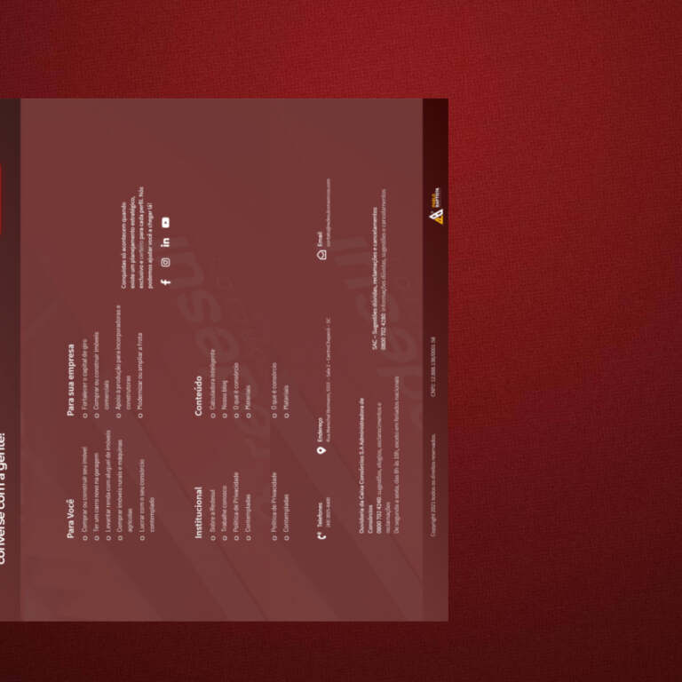 Feed - Rede Sul - 1.1 (4)